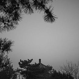 《洛奇英雄传》原总监新作《Project HP》Steam页面上线 支持中文